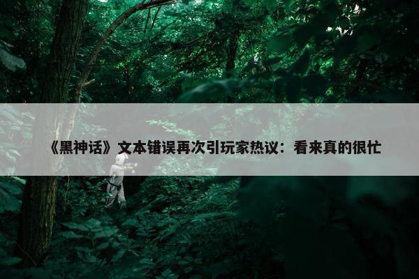 《黑神话》文本错误再次引玩家热议：看来真的很忙