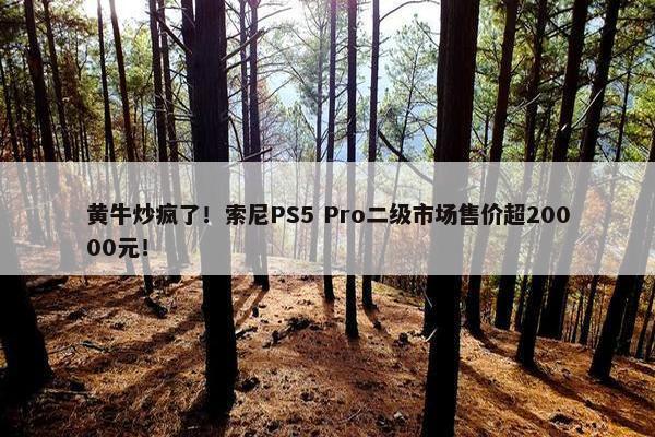 黄牛炒疯了！索尼PS5 Pro二级市场售价超20000元！