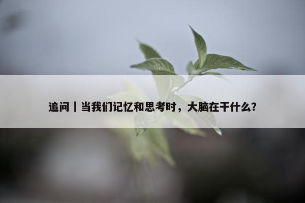 追问｜当我们记忆和思考时，大脑在干什么？