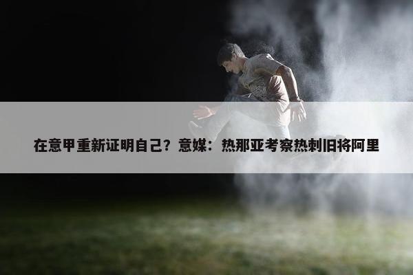 在意甲重新证明自己？意媒：热那亚考察热刺旧将阿里