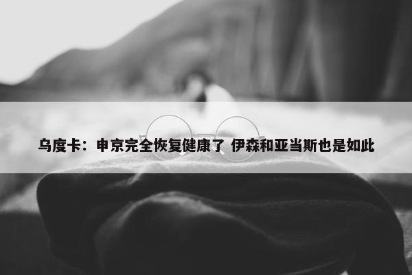 乌度卡：申京完全恢复健康了 伊森和亚当斯也是如此