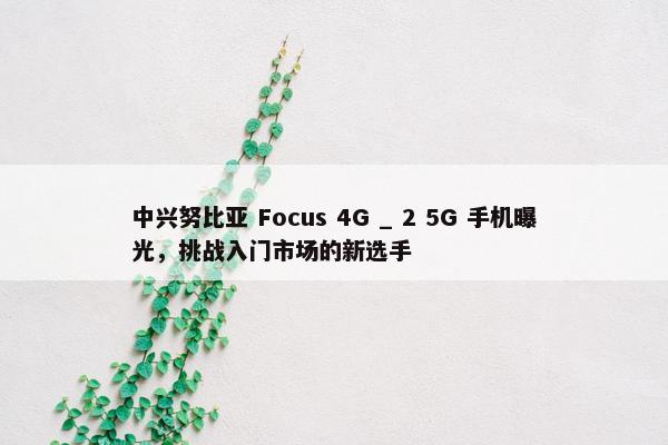 中兴努比亚 Focus 4G _ 2 5G 手机曝光，挑战入门市场的新选手