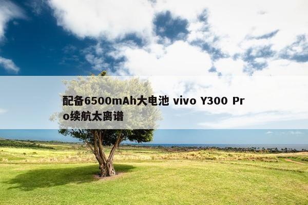 配备6500mAh大电池 vivo Y300 Pro续航太离谱