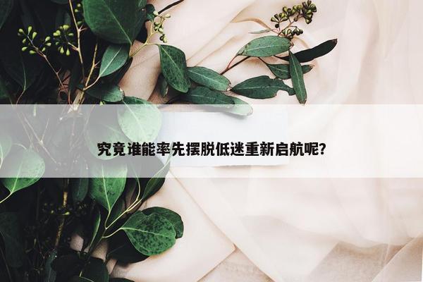 究竟谁能率先摆脱低迷重新启航呢？