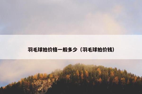 羽毛球拍价格一般多少（羽毛球拍价钱）