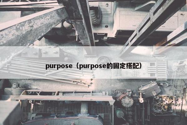 purpose（purpose的固定搭配）