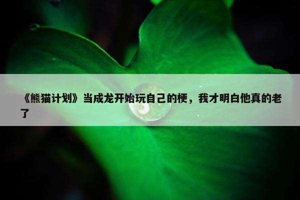 《熊猫计划》当成龙开始玩自己的梗，我才明白他真的老了