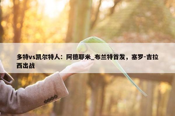 多特vs凯尔特人：阿德耶米_布兰特首发，塞罗-吉拉西出战