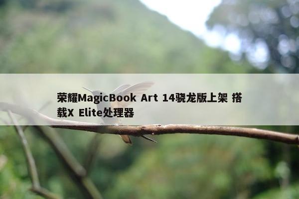 荣耀MagicBook Art 14骁龙版上架 搭载X Elite处理器