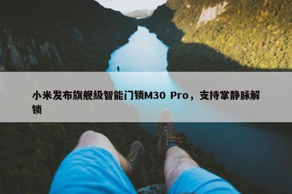 小米发布旗舰级智能门锁M30 Pro，支持掌静脉解锁