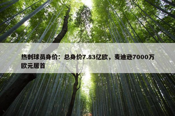 热刺球员身价：总身价7.83亿欧，麦迪逊7000万欧元居首