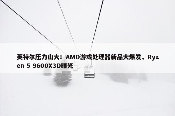 英特尔压力山大！AMD游戏处理器新品大爆发，Ryzen 5 9600X3D曝光