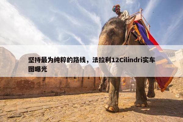 坚持最为纯粹的路线，法拉利12Cilindri实车图曝光