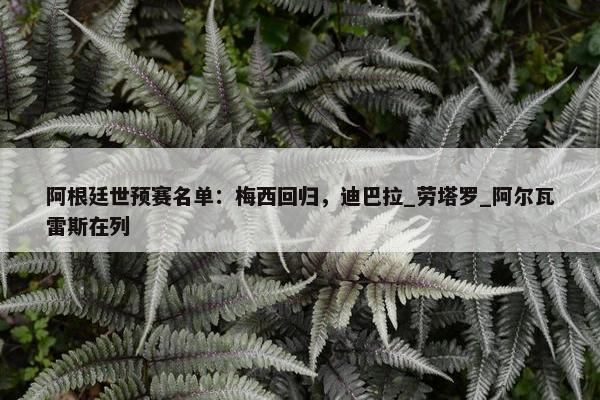 阿根廷世预赛名单：梅西回归，迪巴拉_劳塔罗_阿尔瓦雷斯在列