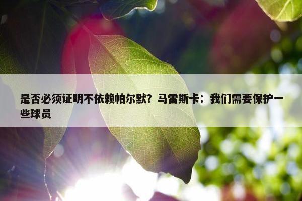 是否必须证明不依赖帕尔默？马雷斯卡：我们需要保护一些球员