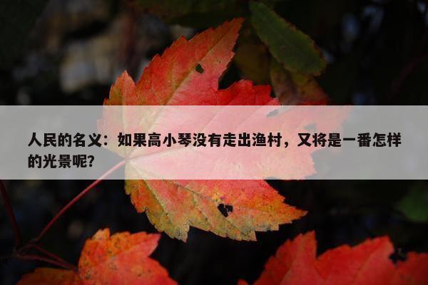 人民的名义：如果高小琴没有走出渔村，又将是一番怎样的光景呢？