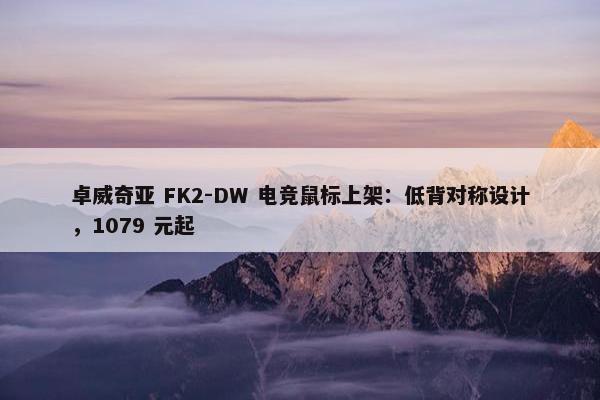 卓威奇亚 FK2-DW 电竞鼠标上架：低背对称设计，1079 元起