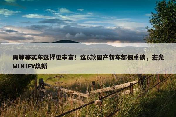 再等等买车选择更丰富！这6款国产新车都很重磅，宏光MINIEV焕新