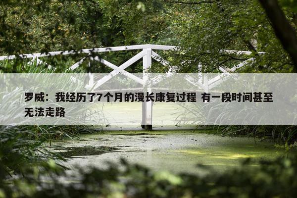 罗威：我经历了7个月的漫长康复过程 有一段时间甚至无法走路