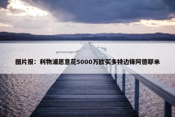 图片报：利物浦愿意花5000万欧买多特边锋阿德耶米