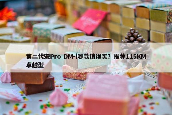 第二代宋Pro DM-i哪款值得买？推荐115KM卓越型