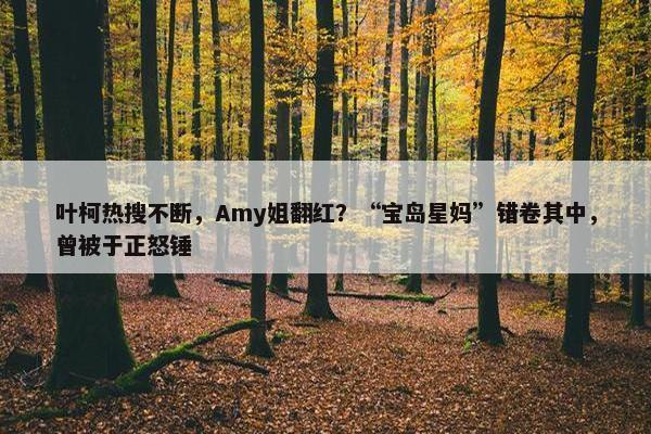 叶柯热搜不断，Amy姐翻红？“宝岛星妈”错卷其中，曾被于正怒锤