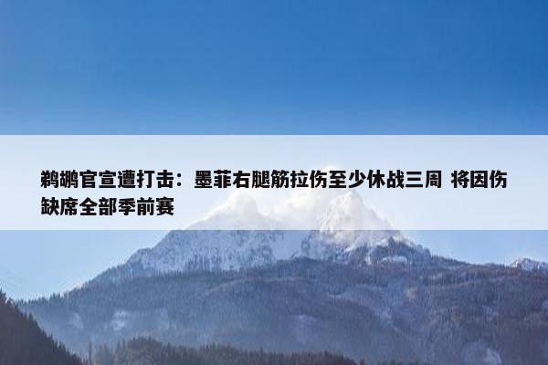 鹈鹕官宣遭打击：墨菲右腿筋拉伤至少休战三周 将因伤缺席全部季前赛