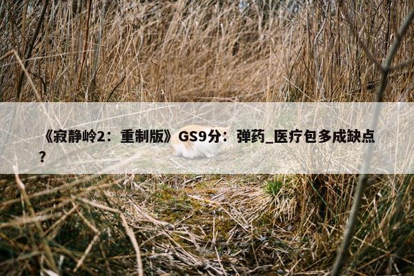 《寂静岭2：重制版》GS9分：弹药_医疗包多成缺点？