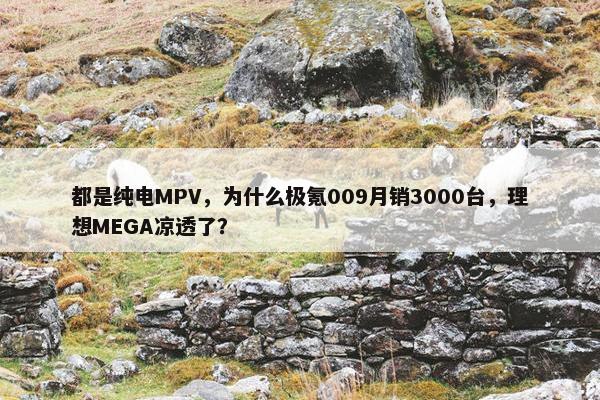 都是纯电MPV，为什么极氪009月销3000台，理想MEGA凉透了？