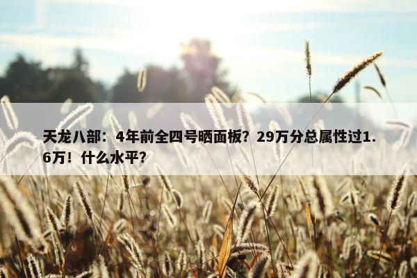 天龙八部：4年前全四号晒面板？29万分总属性过1.6万！什么水平？