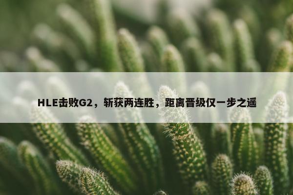 HLE击败G2，斩获两连胜，距离晋级仅一步之遥