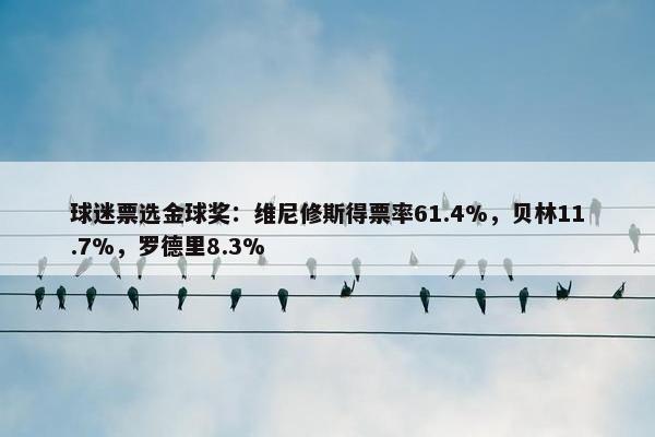 球迷票选金球奖：维尼修斯得票率61.4%，贝林11.7%，罗德里8.3%