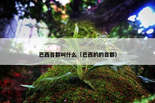 巴西首都叫什么（巴西的的首都）