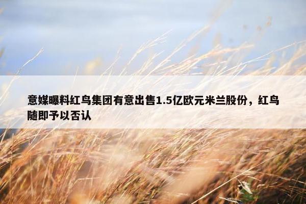 意媒曝料红鸟集团有意出售1.5亿欧元米兰股份，红鸟随即予以否认