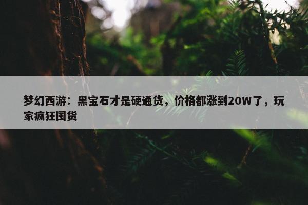 梦幻西游：黑宝石才是硬通货，价格都涨到20W了，玩家疯狂囤货