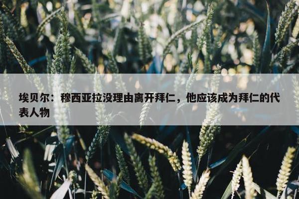 埃贝尔：穆西亚拉没理由离开拜仁，他应该成为拜仁的代表人物