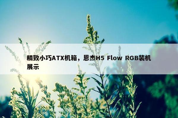 精致小巧ATX机箱，恩杰H5 Flow RGB装机展示