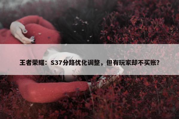 王者荣耀：S37分路优化调整，但有玩家却不买账？