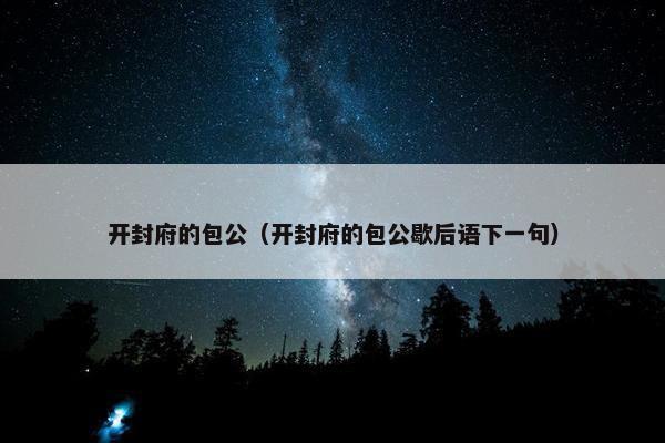 开封府的包公（开封府的包公歇后语下一句）