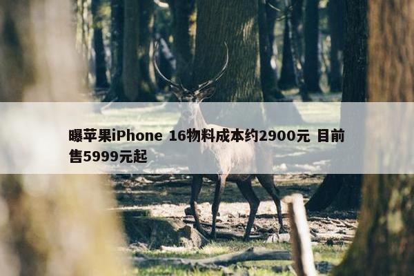 曝苹果iPhone 16物料成本约2900元 目前售5999元起