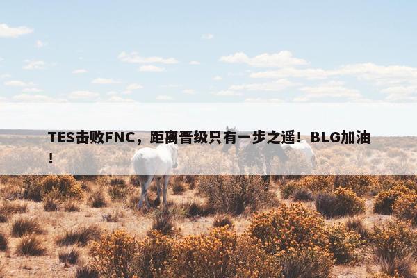 TES击败FNC，距离晋级只有一步之遥！BLG加油！