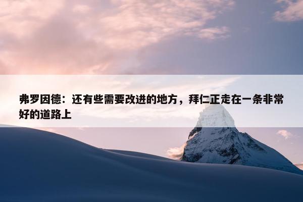 弗罗因德：还有些需要改进的地方，拜仁正走在一条非常好的道路上