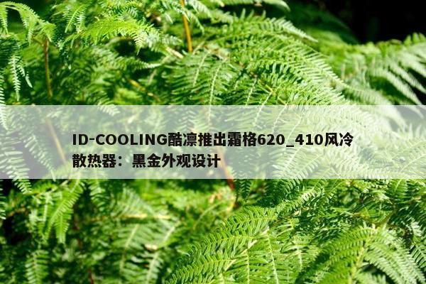 ID-COOLING酷凛推出霜格620_410风冷散热器：黑金外观设计