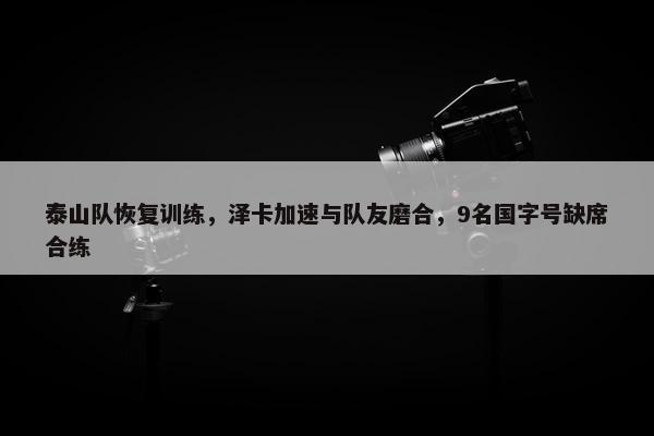 泰山队恢复训练，泽卡加速与队友磨合，9名国字号缺席合练