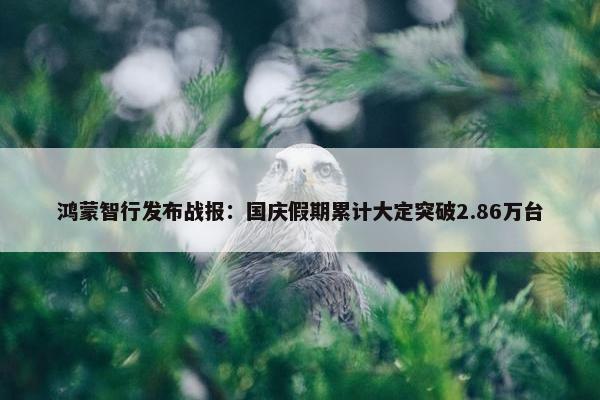 鸿蒙智行发布战报：国庆假期累计大定突破2.86万台