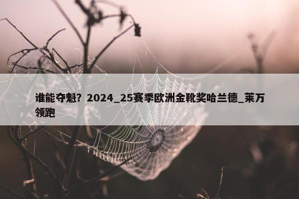 谁能夺魁？2024_25赛季欧洲金靴奖哈兰德_莱万领跑