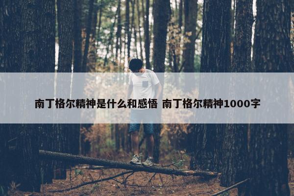 南丁格尔精神是什么和感悟 南丁格尔精神1000字