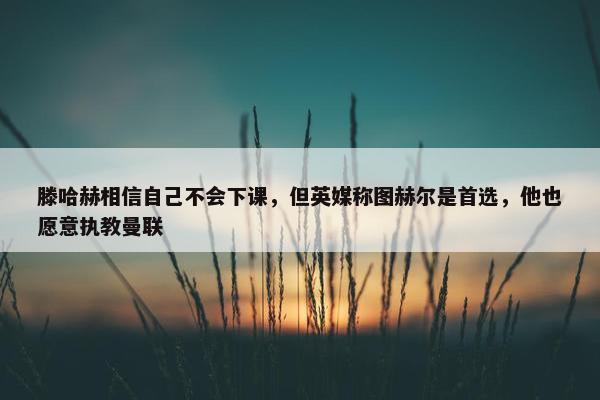 滕哈赫相信自己不会下课，但英媒称图赫尔是首选，他也愿意执教曼联