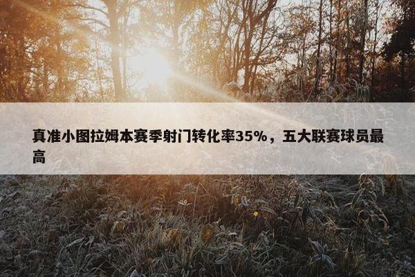 真准小图拉姆本赛季射门转化率35%，五大联赛球员最高