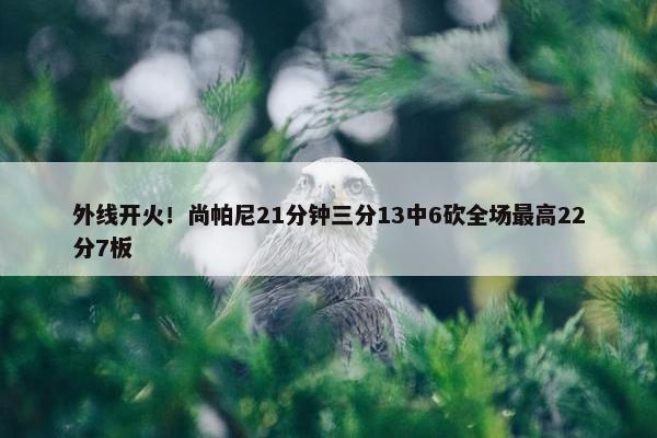 外线开火！尚帕尼21分钟三分13中6砍全场最高22分7板